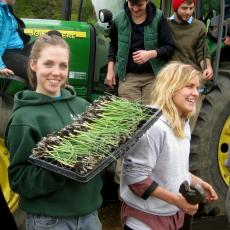 Student Farming Enterprise-trays of onions ready to be planted