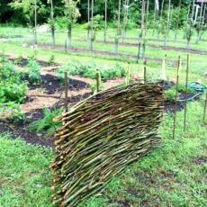 Renaissance Center Gardens-Wattle fencing