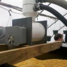 Corn vac feeding the hopper at Farmer Dave's