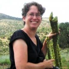 Paige Warren, associate professor, Environmental Conservation, UMass, Amherst