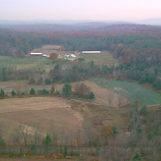 Kosinski Farms