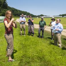 Lynn Adler biology, discusses her research on disease transmission in pollinators. 