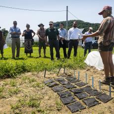 Graduate student Alexa Smychkovich explains research on kohlrabi and faba bean.