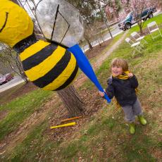 A bee pinata takes a hit and spills honey candy and bee puppets