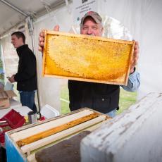 Jack Borden shows a hive frame