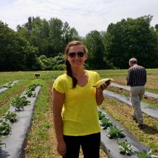 Cassie Sefton, student intern with first vegetables off the land