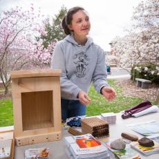 Laura Doubleday, Fernald Club, Co-President describes pollinator hotels