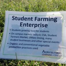 Student Farming Enterprise gets their stake in the ground at ALC