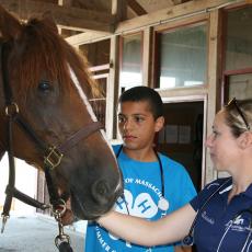 4-H Veterinary camp