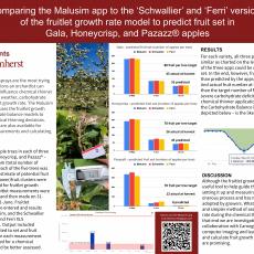 Comparing the Malusim app to the ‘Schwallier’ and ‘Ferri’ versions of the fruitlet growth rate model to predict fruit set...