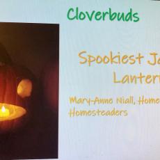 Mary-Anne Niall, Homeschool Homesteaders, took the prize for spookiest jack-o-lantern