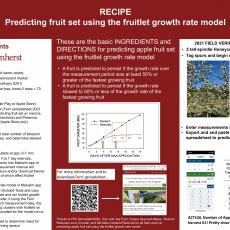 RECIPE - Predicting fruit set using the fruitlet growth rate model