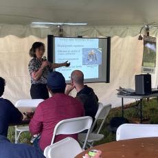 Hilary Sandler describes current methods to remove weeds