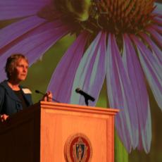 Dr.. Lois Berg Stack: Univ of Maine-how to design pollinator support plantings