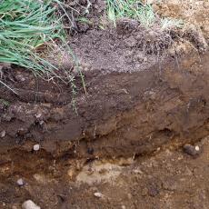 soil layers