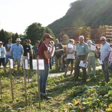 Susan Scheufele, UMass Extension educator, shares information on cucumber trials