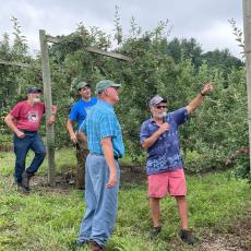 Tom Clark, Ben Clark, Duane Greene and Jon Clements examine tall spindle apple trees
