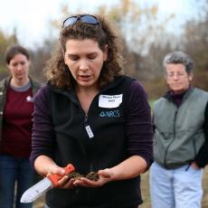 Soil samples shown