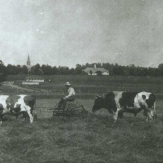 Haying on Campus, 1918