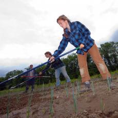 Students hoeing at South Deerfield Crop Animal Research and Education Center
