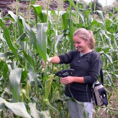 Amanda Brown sampling corn at the South Deerfield farm