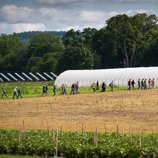 Hoophouse and PV panels at the South Deerfield farm
