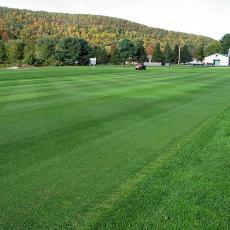 Wide shot of a National Turfgrass Evaluation Program variety trial at the UMass Joseph Troll Turf Research Center.