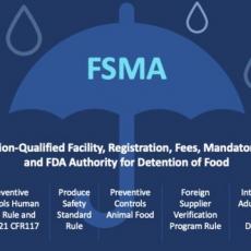 FSMA Chart