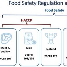 Food Safety Regs