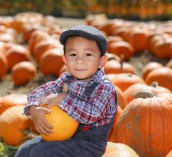 boy in pumpkin patch