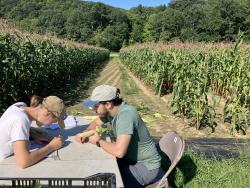 Two people at a table in a field of corn, bent over an ear of corn.