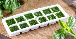 freezing herbs in ice cube tray