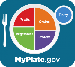 myplate graphic