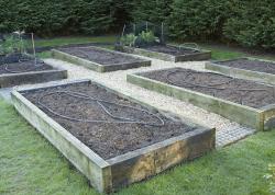 raised garden beds