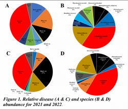 Figure 1. Relative disease (A & C) and species (B & D)  abundance for 2021 and 2022.