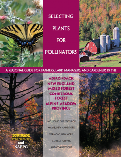 Pollinator Partnership Eastern Broadleaf Forest