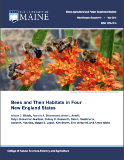 Bees and Their Habitats