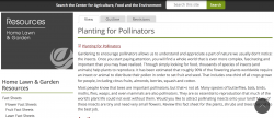 UMass Planting for Pollinators