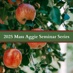 Ripe apples on a tree colorblock overlay of green and maroon text reads 2025 mass aggie seminar series