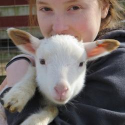 youth holding a sheep