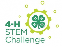 STEM Challenge