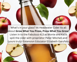 What’s in your glass? At Headwater Cider its all about Grow What You Press, Press What You Grow! Listen in to the Fabulous 413 as Monte and Kaliis spill the cider with proprietor Peter Mitchell and (yours truly) Extension Educator Elizabeth Garofalo.