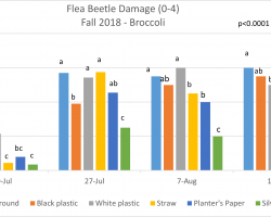 Graph showing flea beetle damage from fall 2018 trial