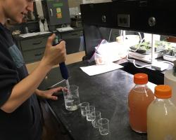 A person standing in a lab, pipetting liquid from large bottles of opaque solution into beakers.