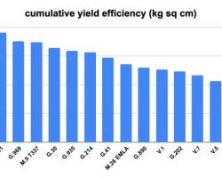 Figure 1 – Cumulative yield efficiency of Honeycrisp apple trees in the 2014 Vineland/Geneva apple  rootstock planting at the UMass Orchard, Belchertown, MA 