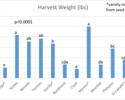 Graph showing harvest weight