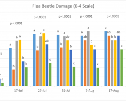 Graph showing flea beetle damage