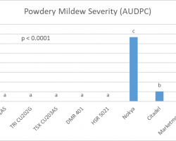 Graph showing powdery mildew area under the disease progress curve.