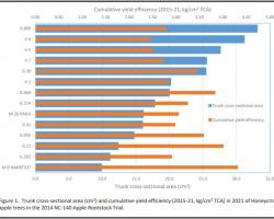 Figure 1.Trunk crossͲsectional area (cm2) and cumulative yield efficiency (2015Ͳ21, kg/cm2 TCA) in 2021 of Honeycrisp apple trees in the 2014 NCͲ140 Apple Rootstock Trial.