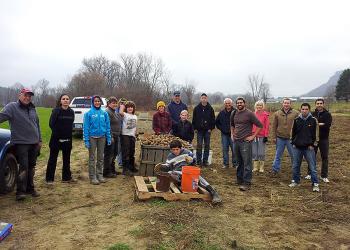 Volunteers gleaning potatoes